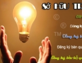Tư vấn pháp luật về sở hữu trí tuệ